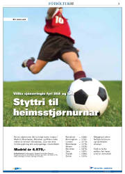 Síða 3