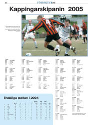 Síða 38