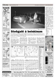 Síða 15