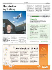 Síða 21