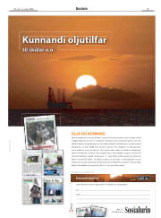 Síða 15