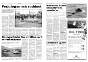 Síða 4