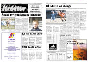 Síða 6