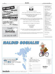 Síða 22