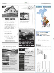 Síða 20