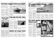 Síða 3
