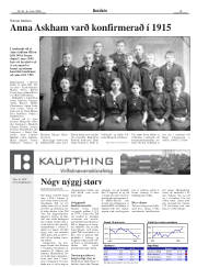 Síða 15