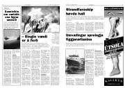Síða 5