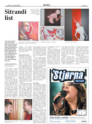 Síða 15