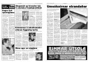 Síða 3