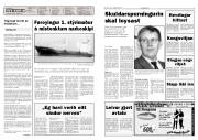 Síða 2