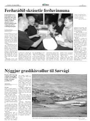 Síða 17