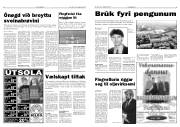 Síða 5