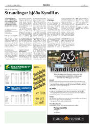 Síða 21