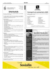 Síða 29
