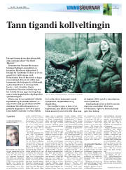 Síða 17