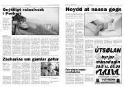 Síða 3