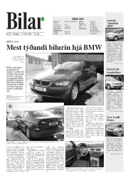 Síða 15