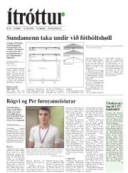 Síða 19