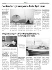 Síða 8