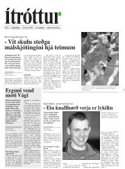 Síða 20