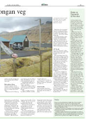 Síða 29