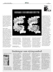 Síða 41