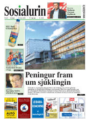 Síða 1