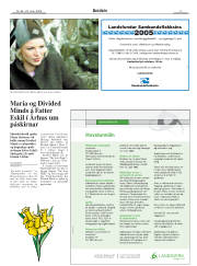 Síða 3