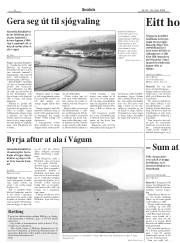 Síða 6