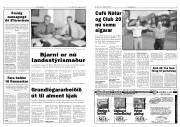 Síða 3