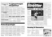 Síða 6