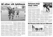Síða 7