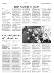 Síða 34