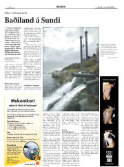 Síða 2