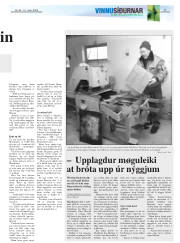 Síða 27