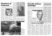 Síða 5