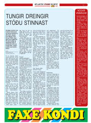 Síða 7
