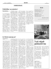 Síða 11