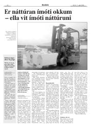 Síða 22