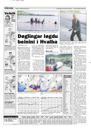 Síða 13