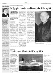 Síða 8