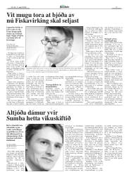 Síða 17