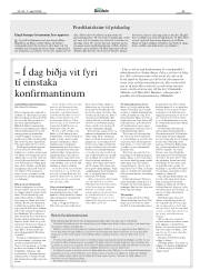 Síða 33