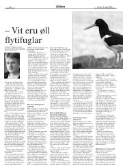 Síða 38