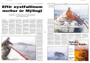 Síða 6