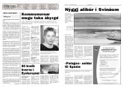 Síða 2