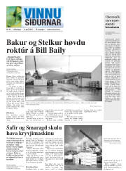 Síða 21
