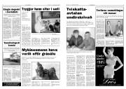Síða 3
