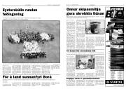 Síða 4